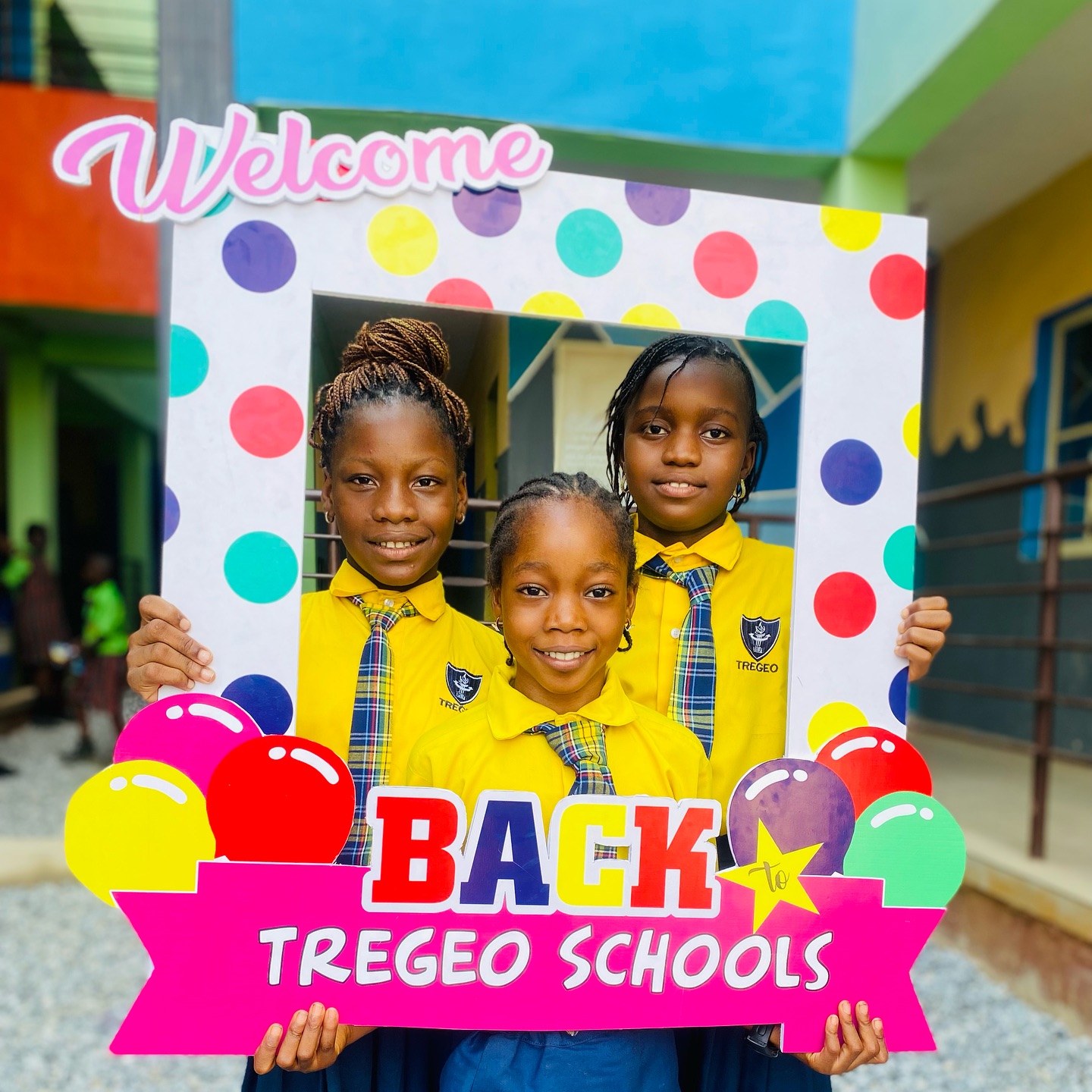 Tregeo Schools Image 4