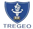 Tregeo Schools